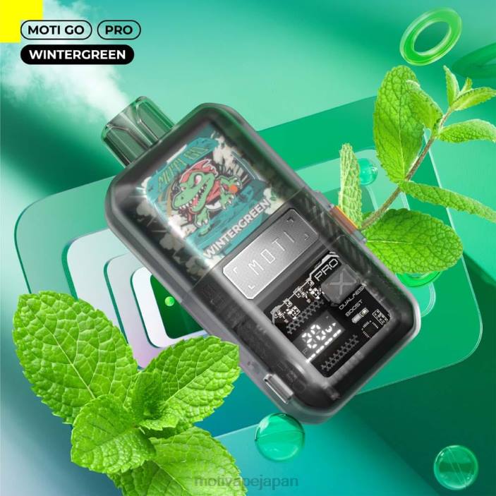 MOTI Go Pro 使い捨て電子タバコ (5%、12000 パフ) ウィンターグリーン 60LN24 Moti Vape Price